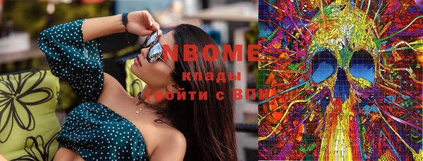 индика Каменск-Шахтинский