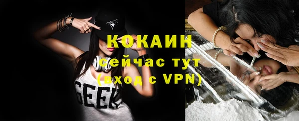 твердый Каменка