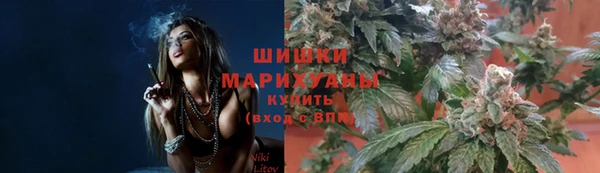каннабис Каменногорск