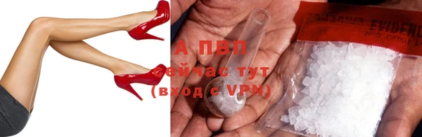 индика Каменск-Шахтинский