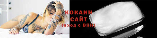индика Каменск-Шахтинский