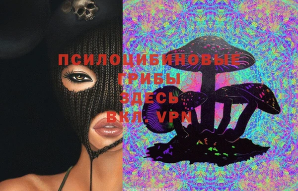 индика Каменск-Шахтинский