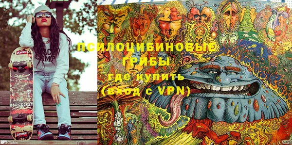 индика Каменск-Шахтинский