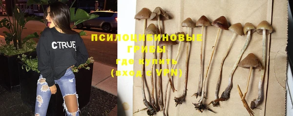 индика Каменск-Шахтинский