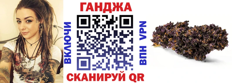Купить закладки  Злынка  Марихуана план 