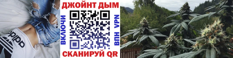 Бошки Шишки семена Злынка